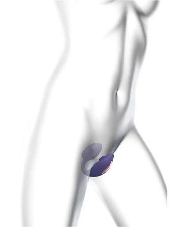 Double stimulateur Wonderlover violet - Love to Love Double stimulateur Wonderlover violet - Love to Love