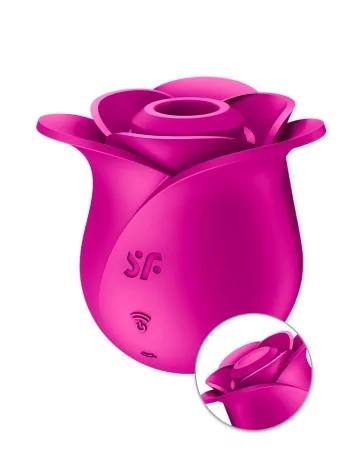 Stimulateur clitoridien Satisfyer Pro 2 Modern Blossom