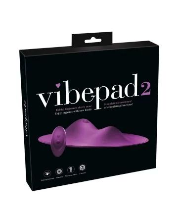 Coussin sexuel vibepad 2